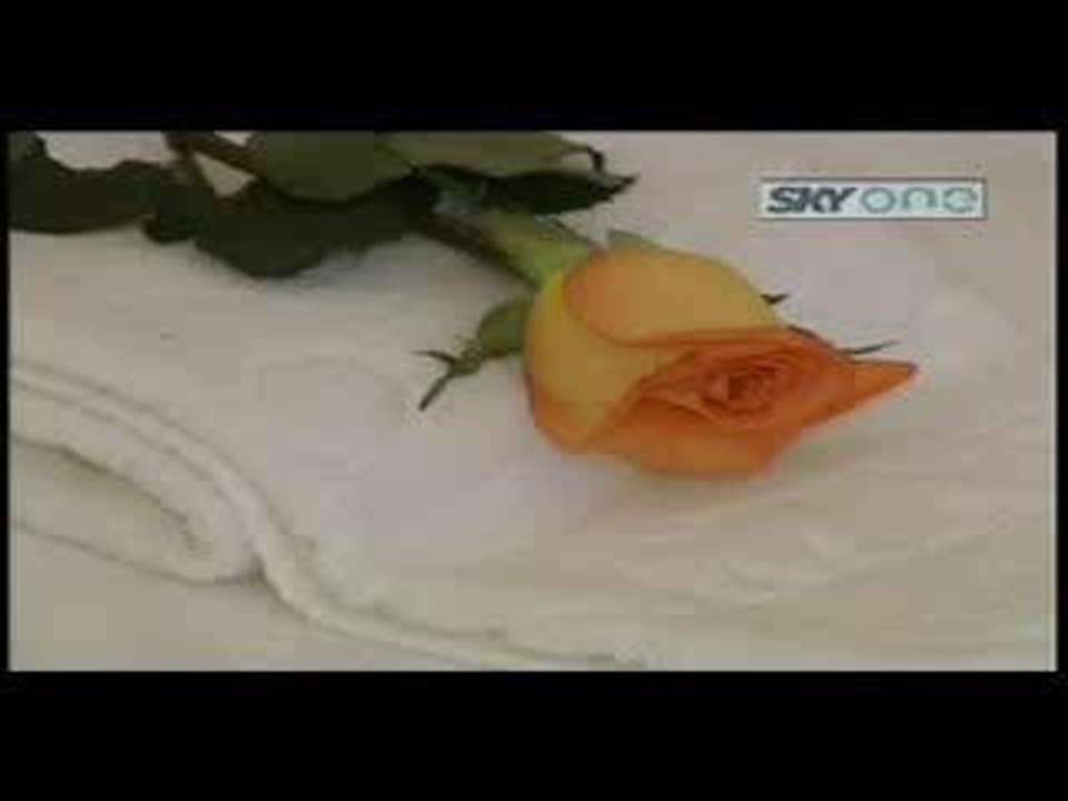 Premio Sky One Spa 2