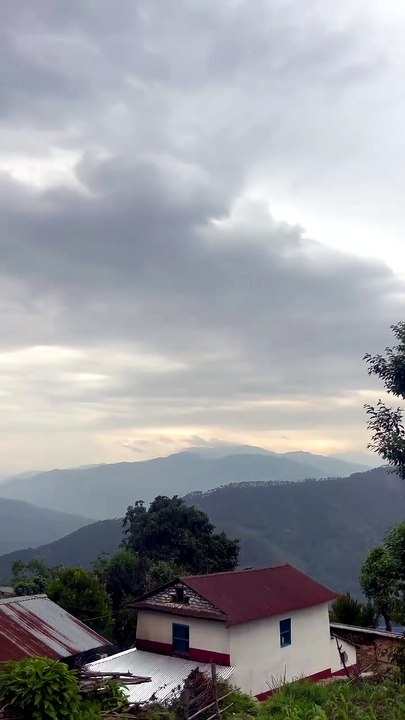 VID-20260531-WA0008