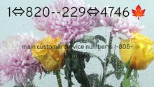 Coinbase® CUSTOMER© SUPPoRT℗ Phone NuMber (OfficiAl)