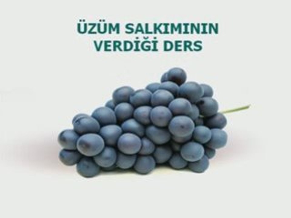 Üzüm Salkımının Düşündürdükleri