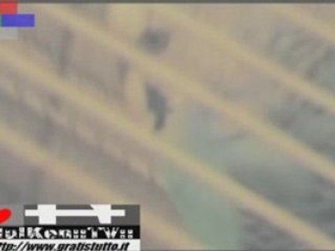 HULKEN - PAPPAGALLI PIU' CRICETO's Time ( ! )