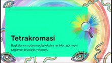 Çoğu İnsanın Göremediği Renkleri Gören Kadınlar! 👁️🌈 Tetrakromasi Nedir?