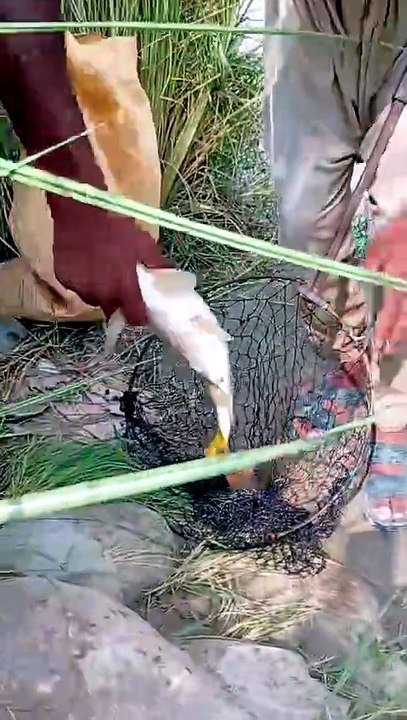 Fish sale ho gai