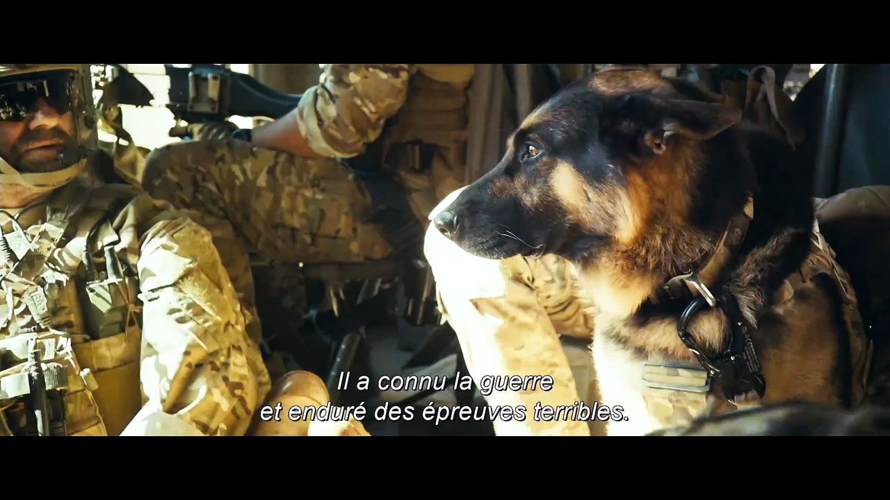 Bande-annonce : Brad Pitt aime les chiens dans « Heart of the Beast »