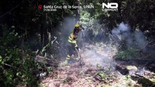 Espanha e França combatem incêndios florestais: 17 mil hectares ardidos em Aragão