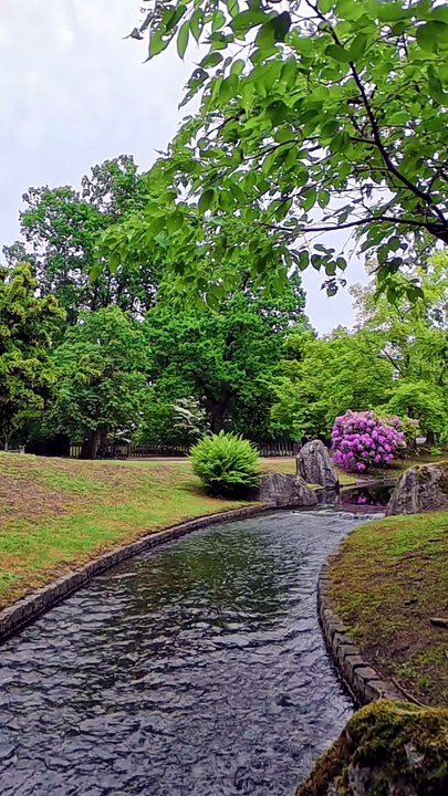 Tranquil Japanese Garden in Hasselt, Belgium