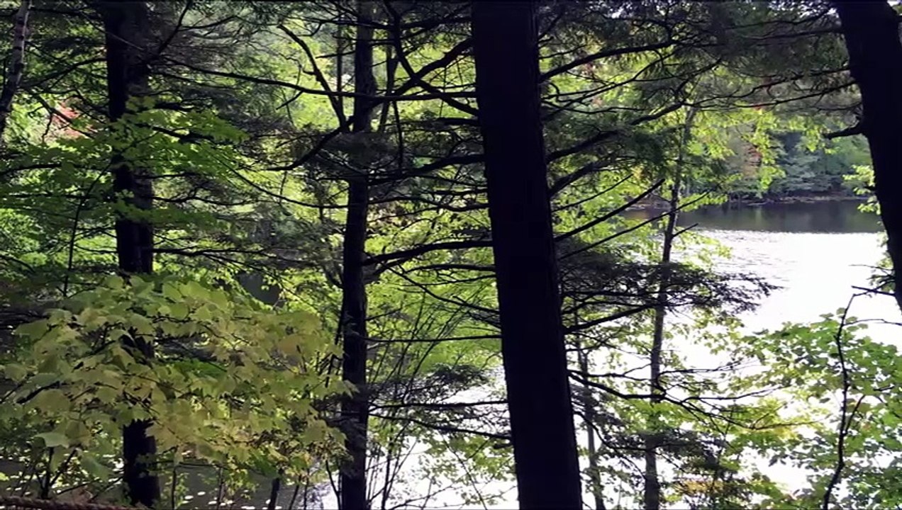 Healing Piano Melodies – Relax, Unwind and Let...