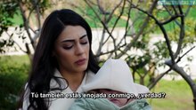 Gelin Capítulo 376 | La Novia | Novela Turca en Español