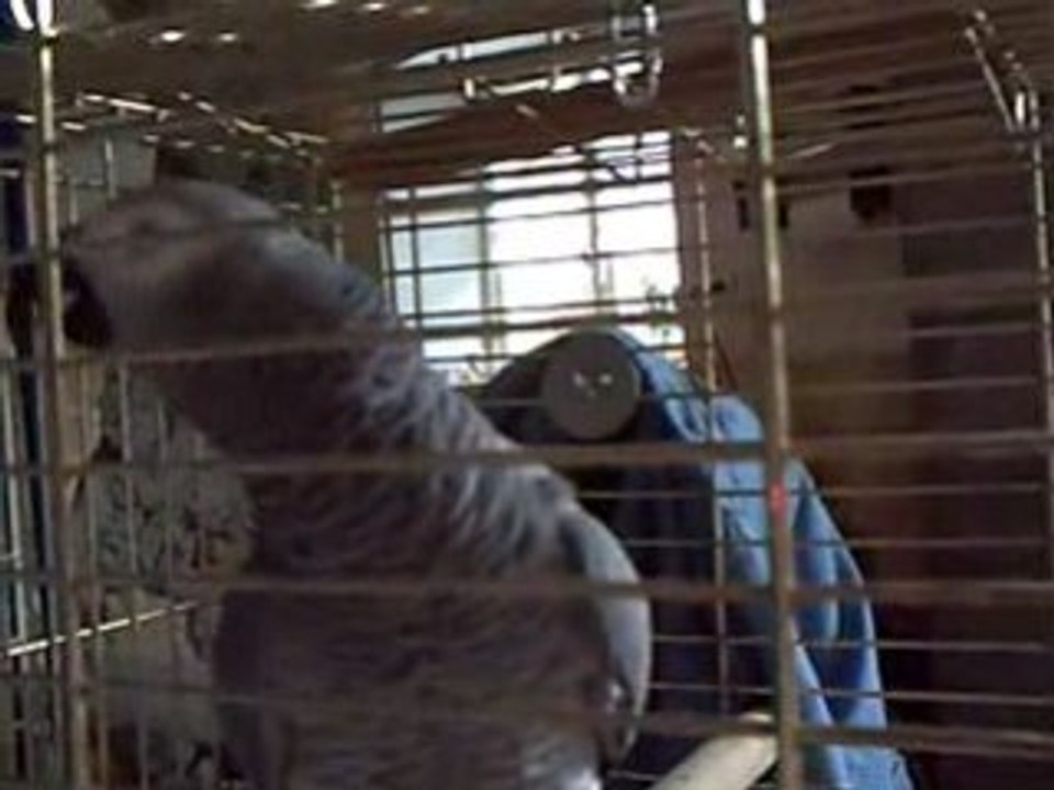 1er video de mon coco