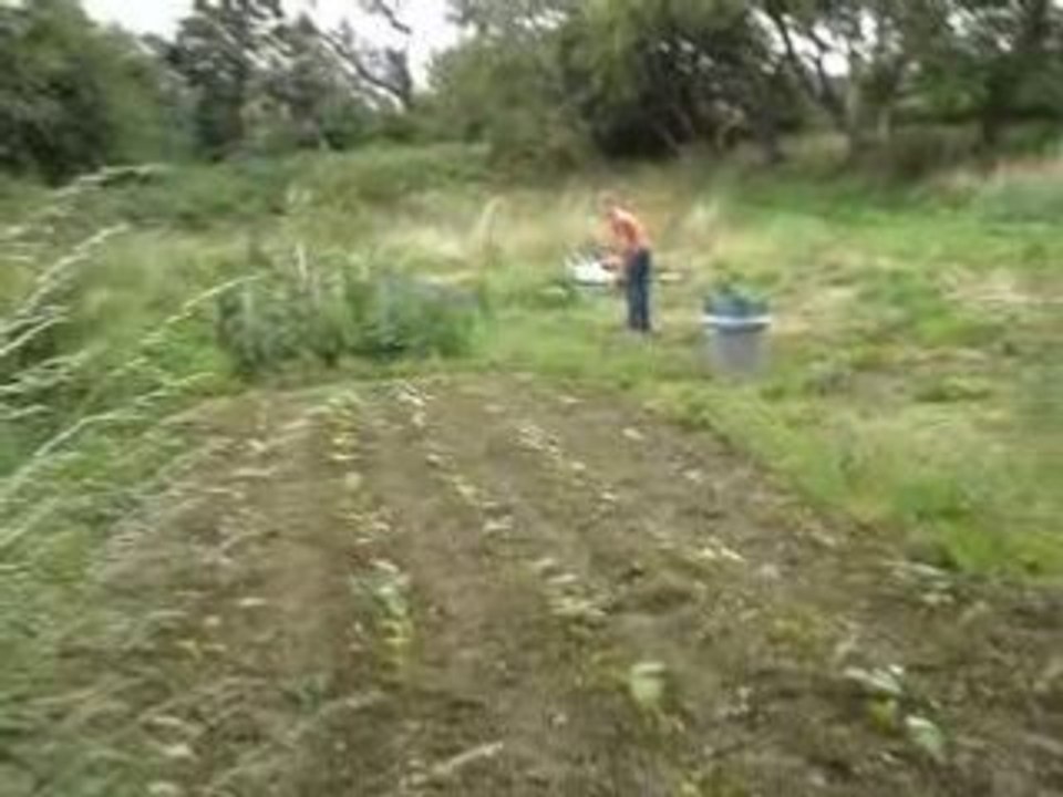 la racaille