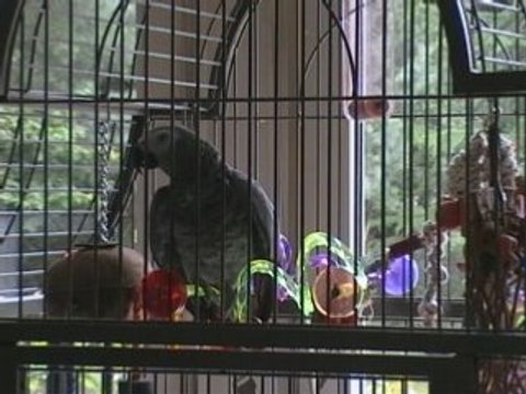 ça va chérie un ptit bisou à maman