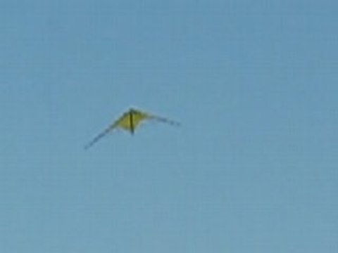 La Bernerie en Retz : cerf-volant