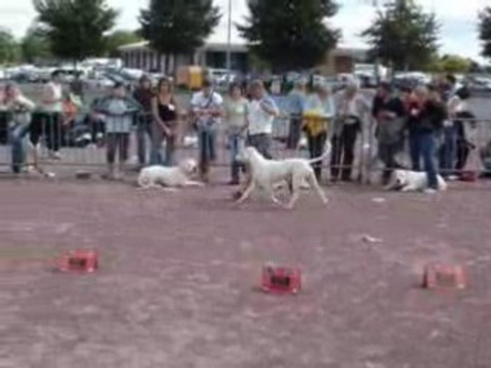 Concours Saint Lô