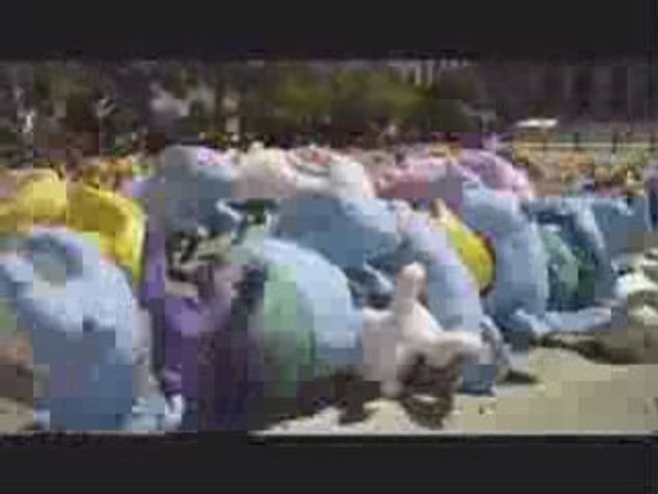 Sony Bravia - 2008 - Lapins