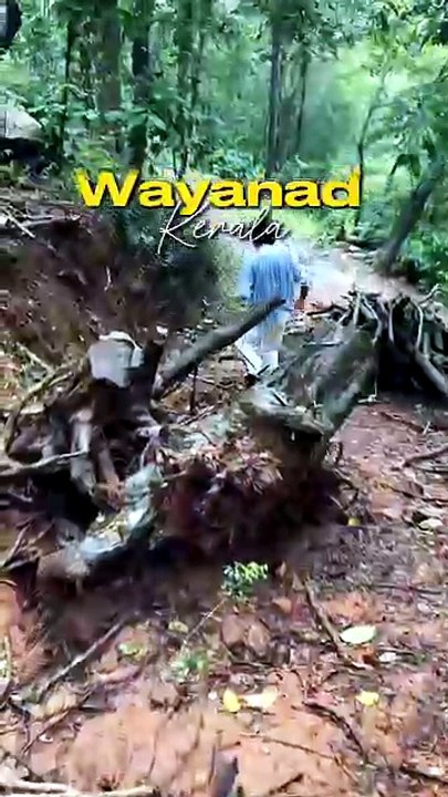 Corporate event venues in Wayanad