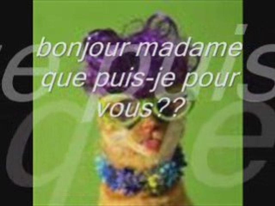Les drole d'animaux!!