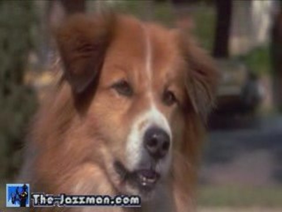 Dr. Dolittle ... In about 30 seconds