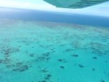 Vol au-dessus de la barrière de Corail