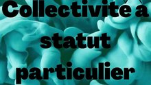 Collectivité à statut particulier