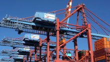 Why do most economists like free trade