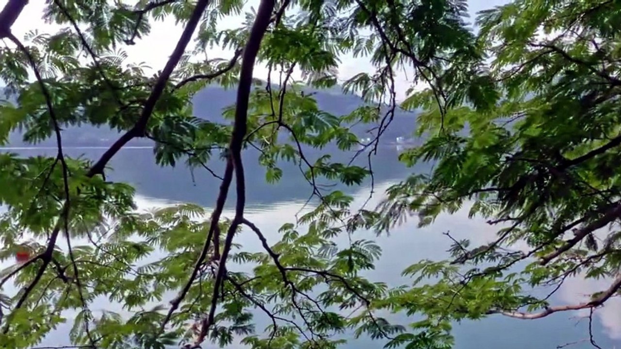 Life and Nature