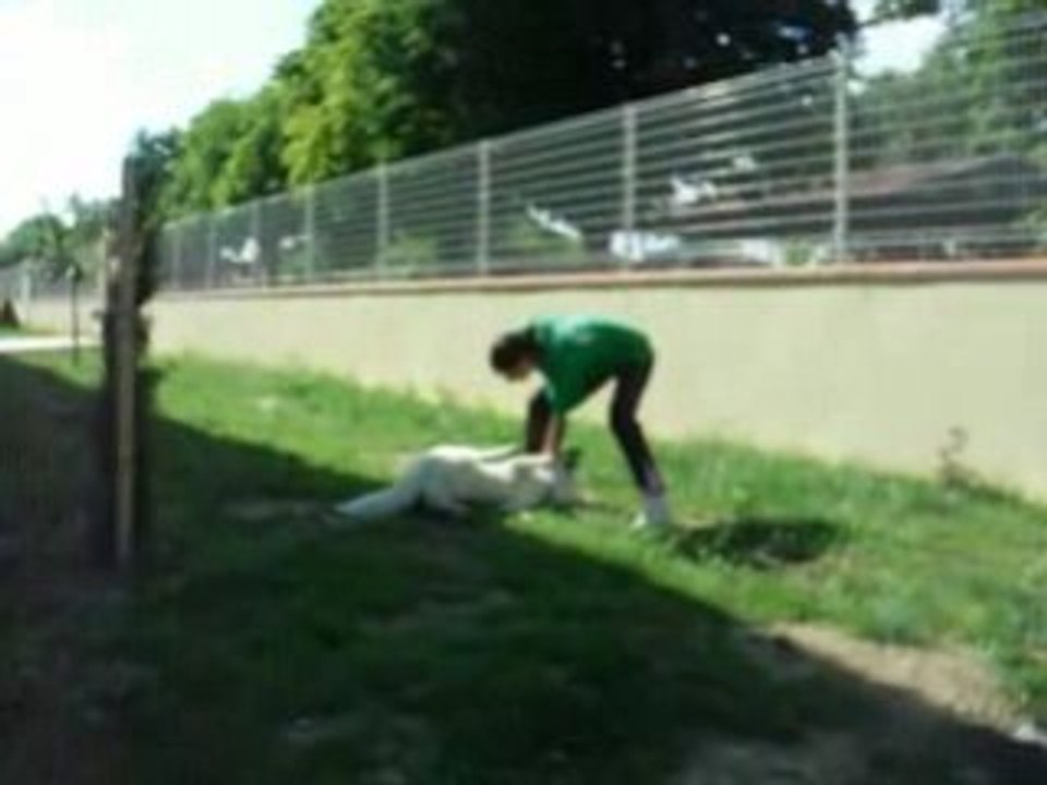 Sieste_tano_walou_idole 057