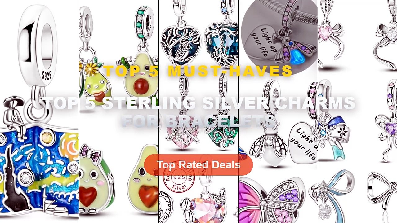 Best Top 5 Sterling Silver Charms For Bracelets...
