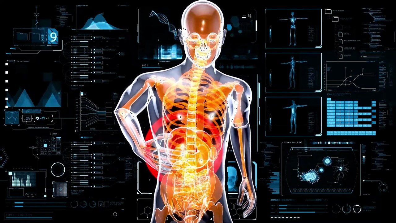 The AUTONOMOUS NERVOUS SYSTEM explained: functions and structure 🧠