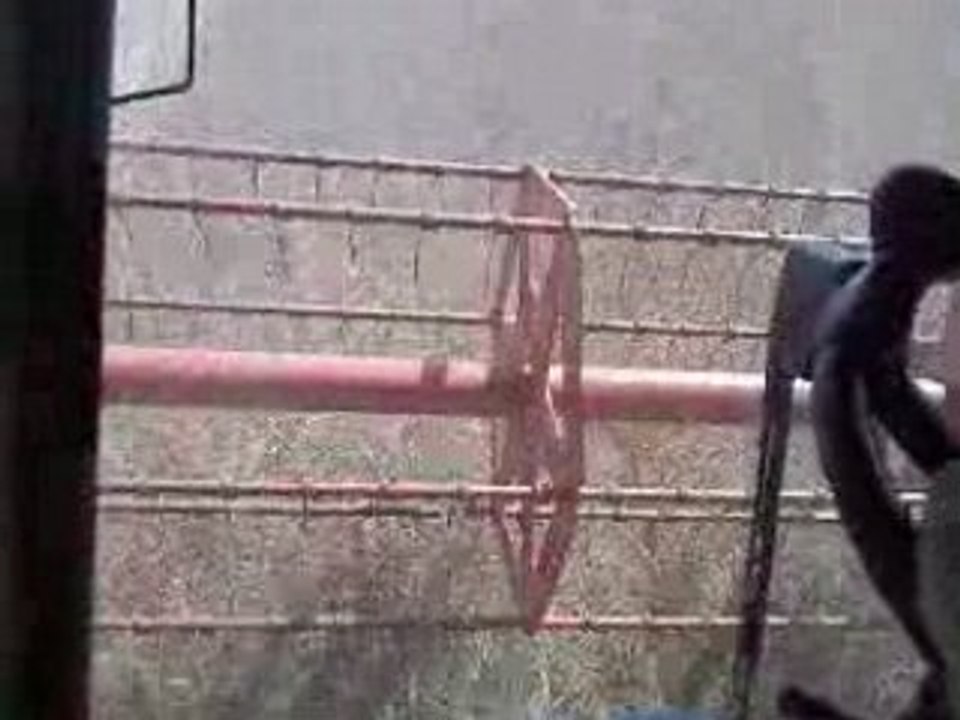 CLAAS MEDION 340 HARVESTING THE CANOLA 2008 CABINE VIDEO...!