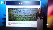 Revue de presse - 18/08/2026