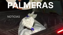 Mujer muere a manos de su supuesto Yerno