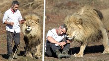 LION KING Gets a Royal Checkup! | The Lion Whisperer