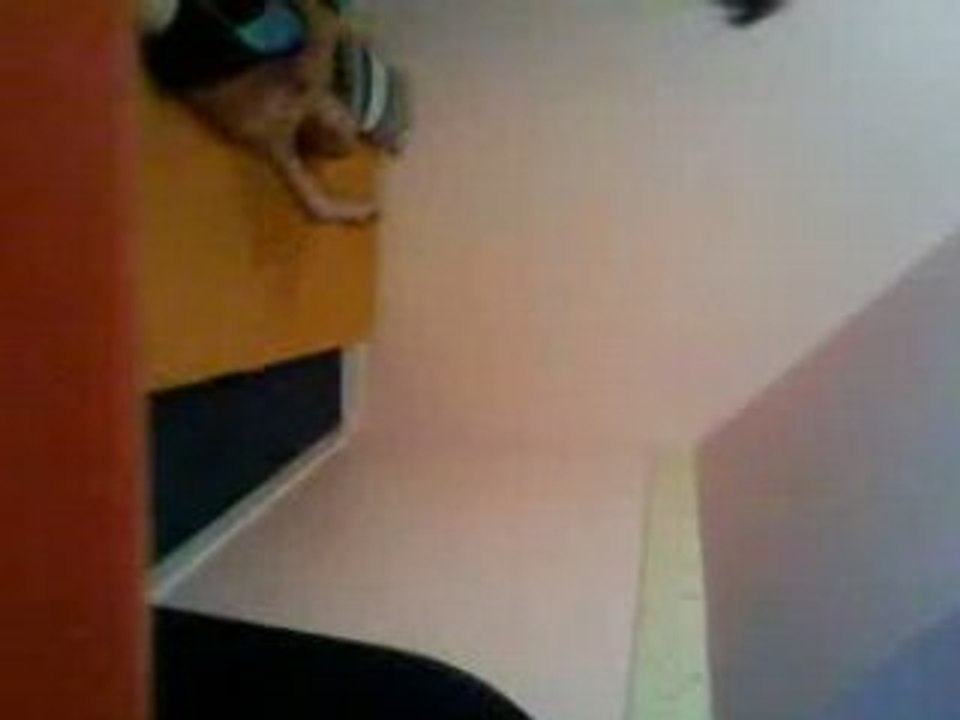 Coup de la corde a linge