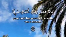 ﴿ وَهُزِّي إِلَيْكِ بِجِذْعِ النَّخْلَةِ تُسَاقِطْ عَلَيْكِ رُطَبًا جَنِيًّا ﴾