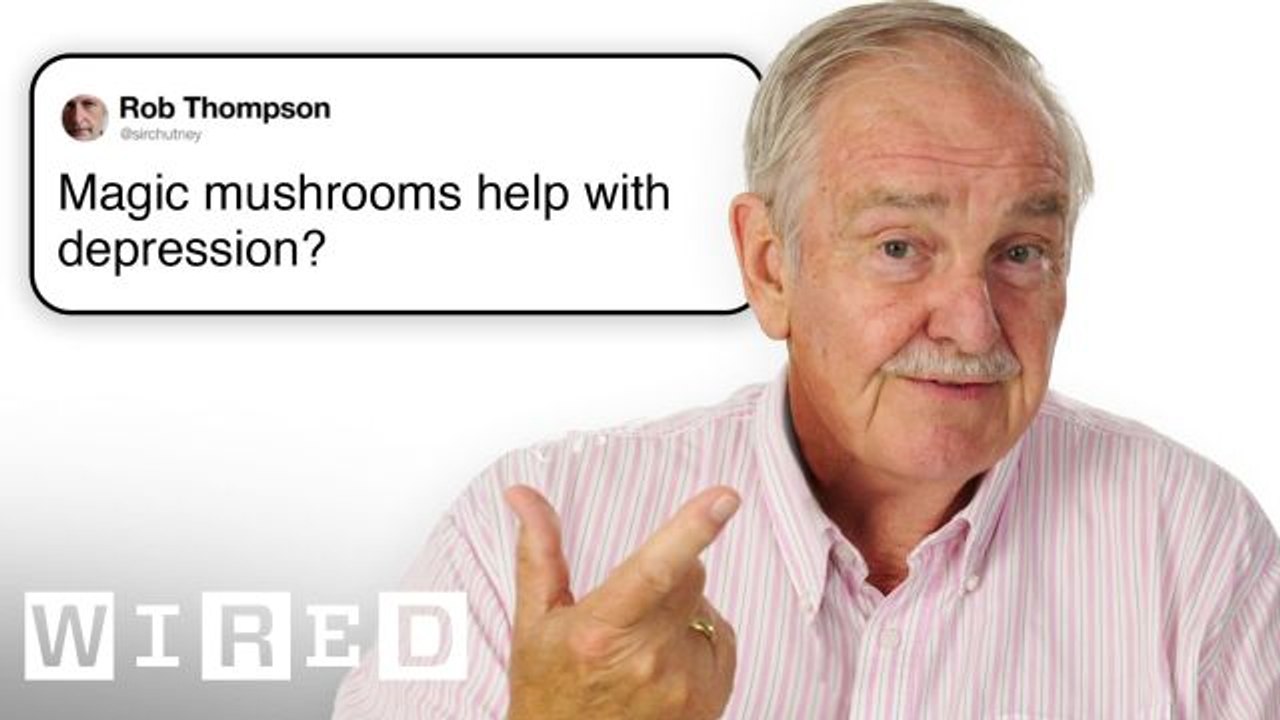 Psychiatrist Answers Psychedelic Therapy Questions