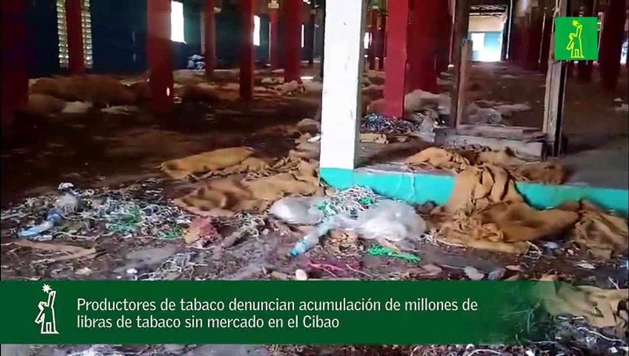 Productores de tabaco denuncian acumulación de...