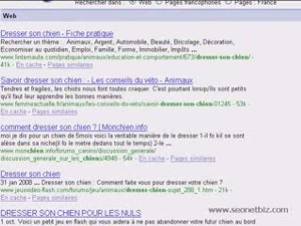Referencement site web - analyse