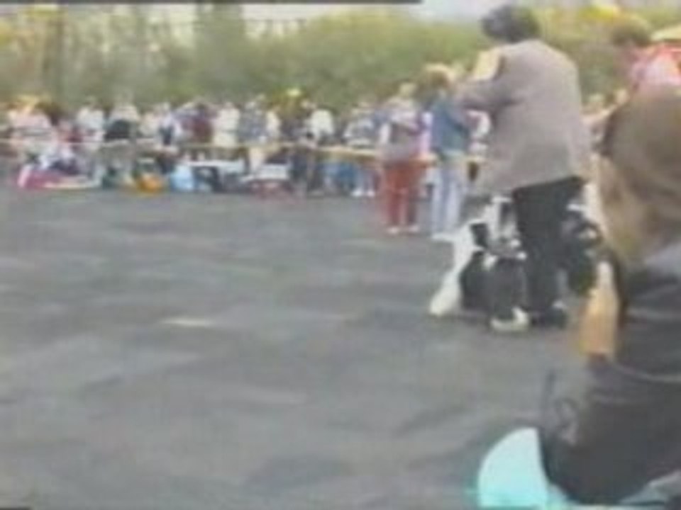 Black and Blue de la Vigie Russia-95