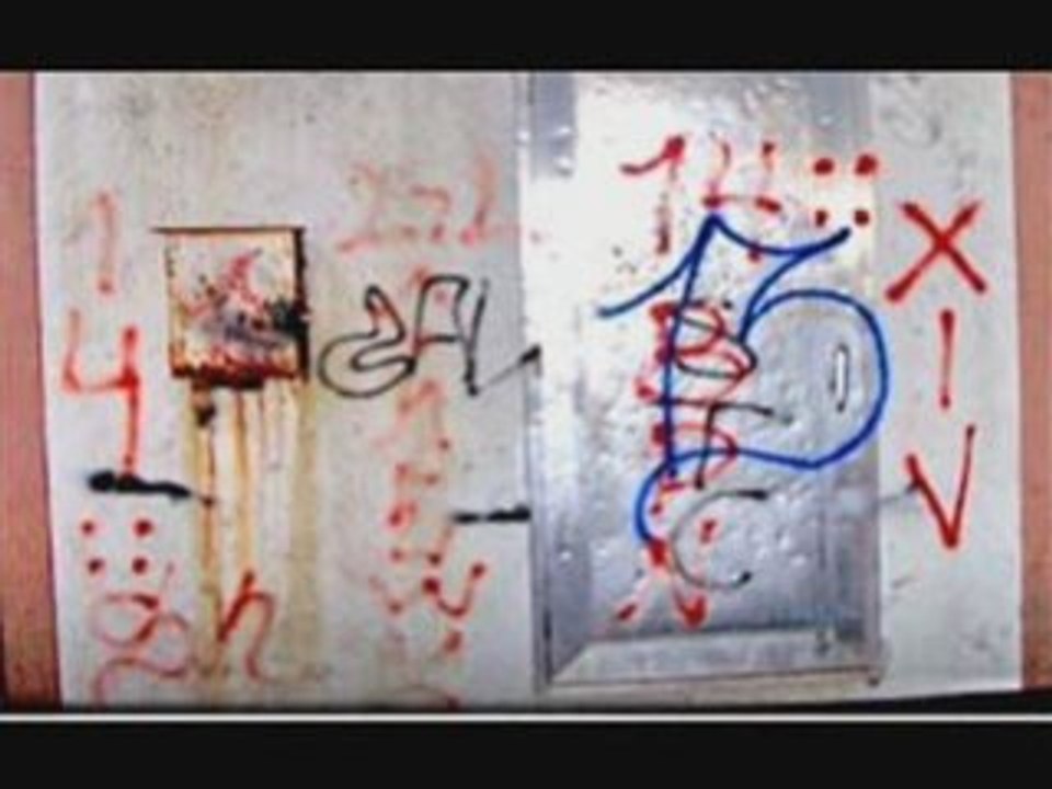 Latin King vs Surenos vs Nortenos vs Crips vs Bloods Vidéo Dailymotion