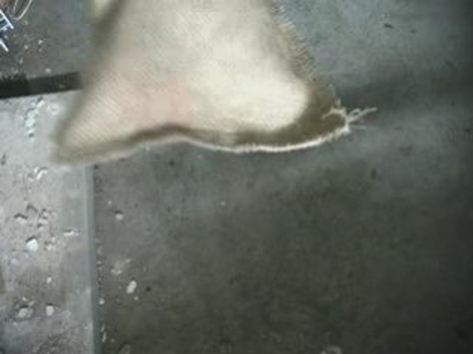 Rat-A-Fied Torture