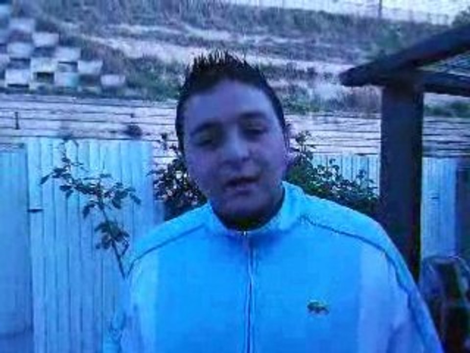 David il chante