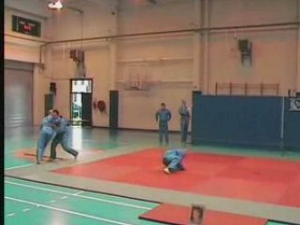 Demonstration de vovinam viet vo dao