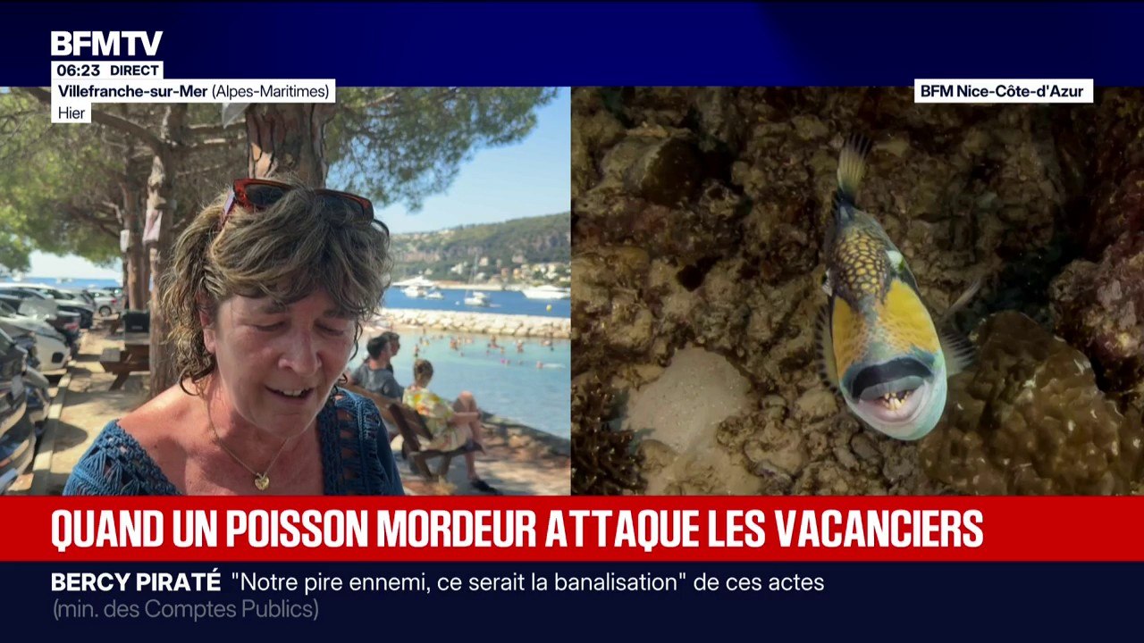 Alpes-Maritimes: les baigneurs confrontés au ba...