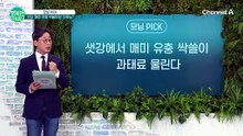 매미 유충 싹쓸이해 튀겨 먹다 과태료 폭탄!