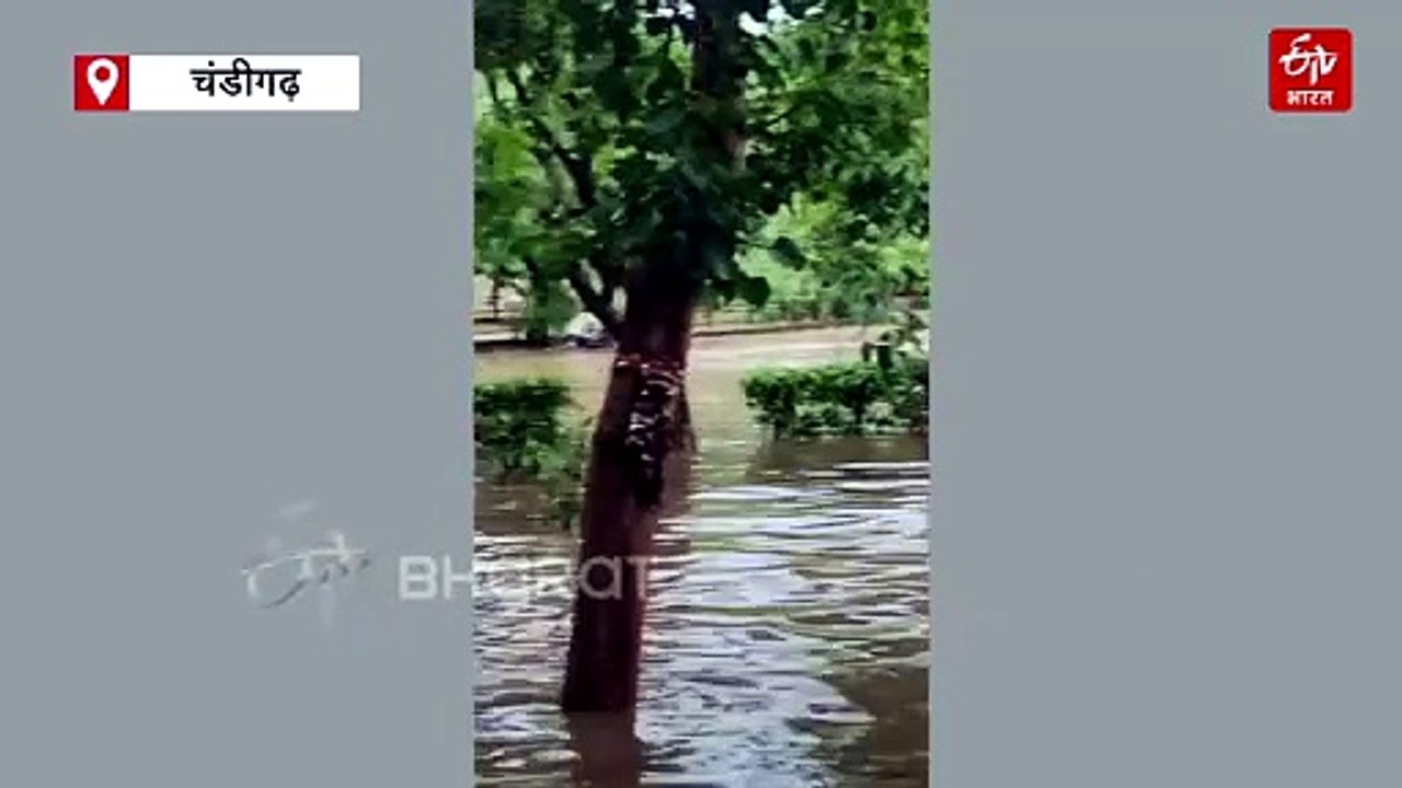 चंडीगढ़ में मूसलाधार बारिश, जलभराव के बाद तालाब...