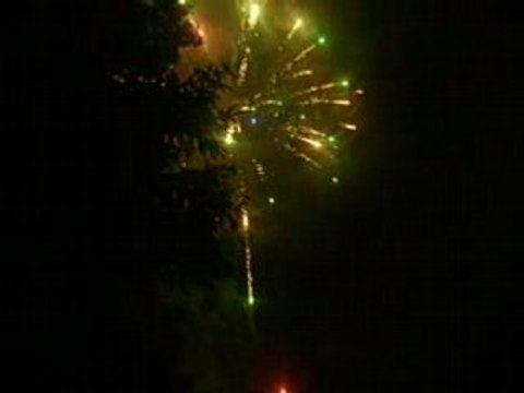 mes feux d'artifices du 14 Juillet 2008