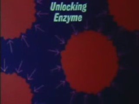 Cancer cure Vitamin B17 part 6