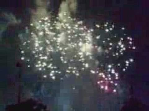 Feu d' Artifice 14 Juillet 2008 Paris Tour Eiffel Firework