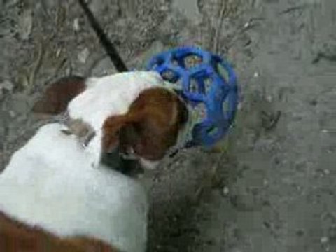 Bois de Verrières 001