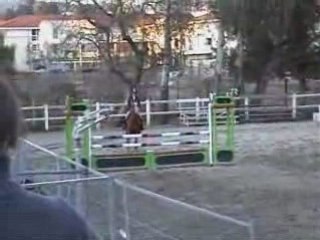 Lion Mahoud Aix-en-Provence